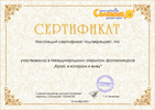 Сертификат участника конкурса Край, в котором я живу